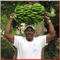 vivens joachim with a banana bunch on his head in Grand-bois Haiti